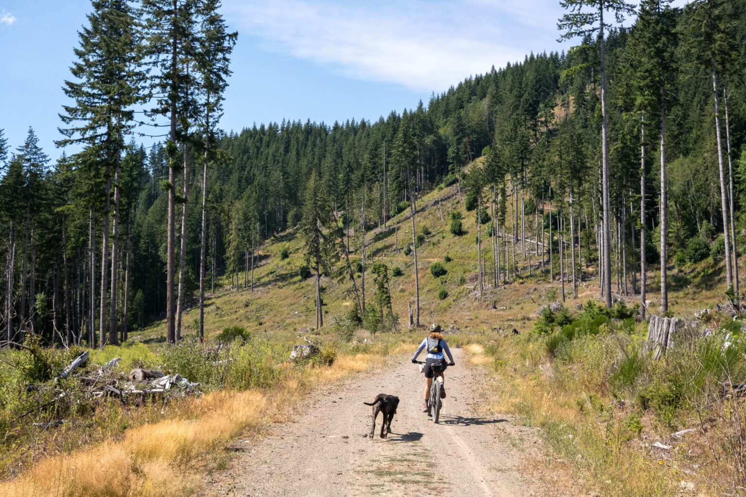 The Olympic Adventure Route Shaken With A Twist BIKEPACKING