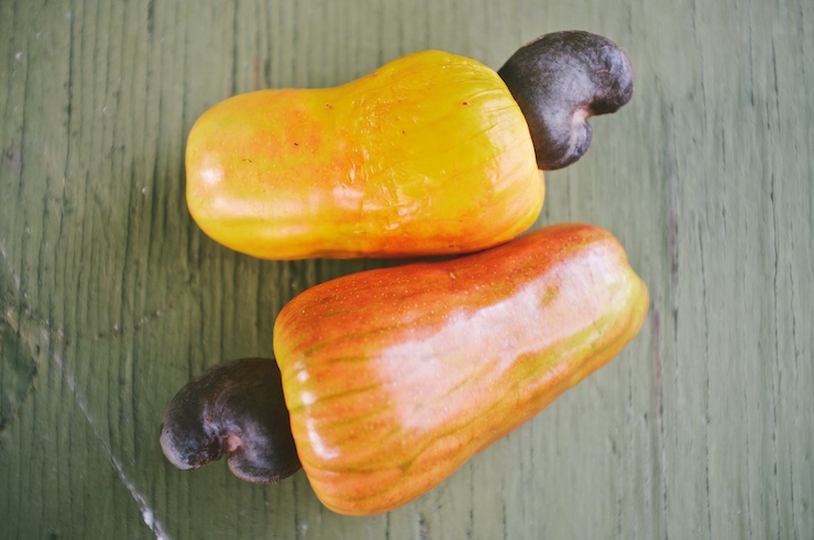 Panama - Cashew fruit
