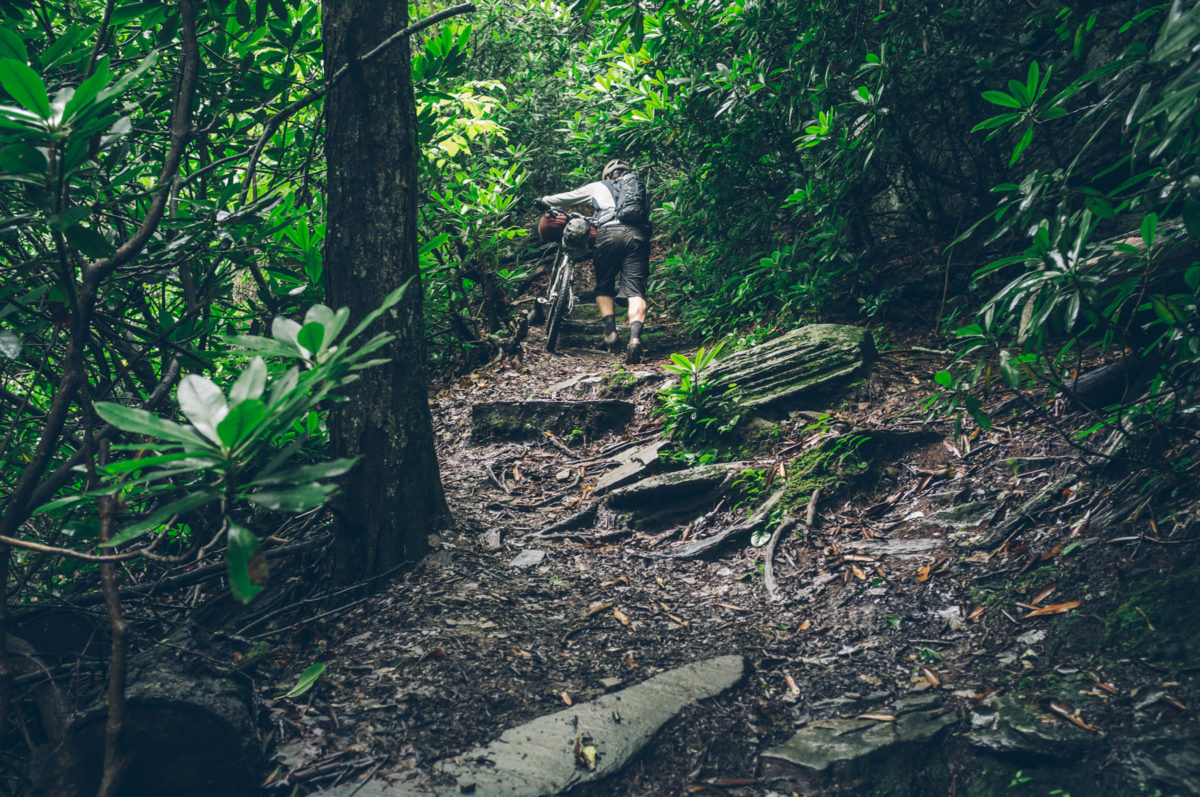 overnight bikepacking