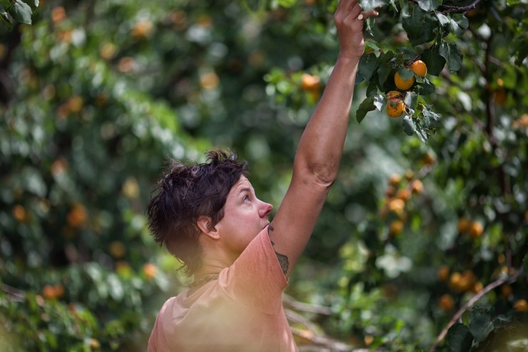 Bike Touring Back Roads - Fruit Farms - South Africa