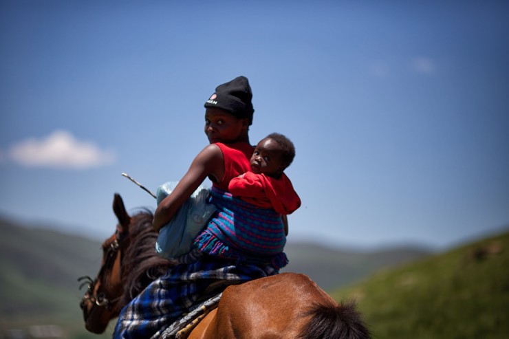 Bike Touring Lesotho - Horse