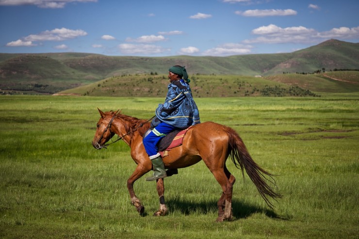 Lesotho Horseman