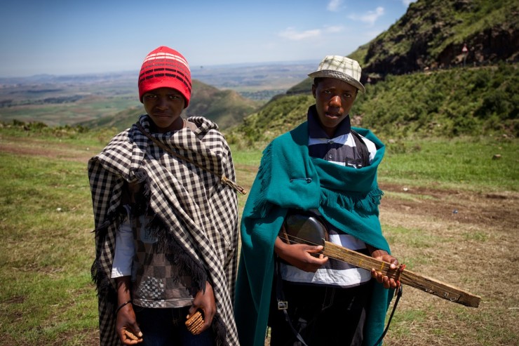 Lesotho Shepards