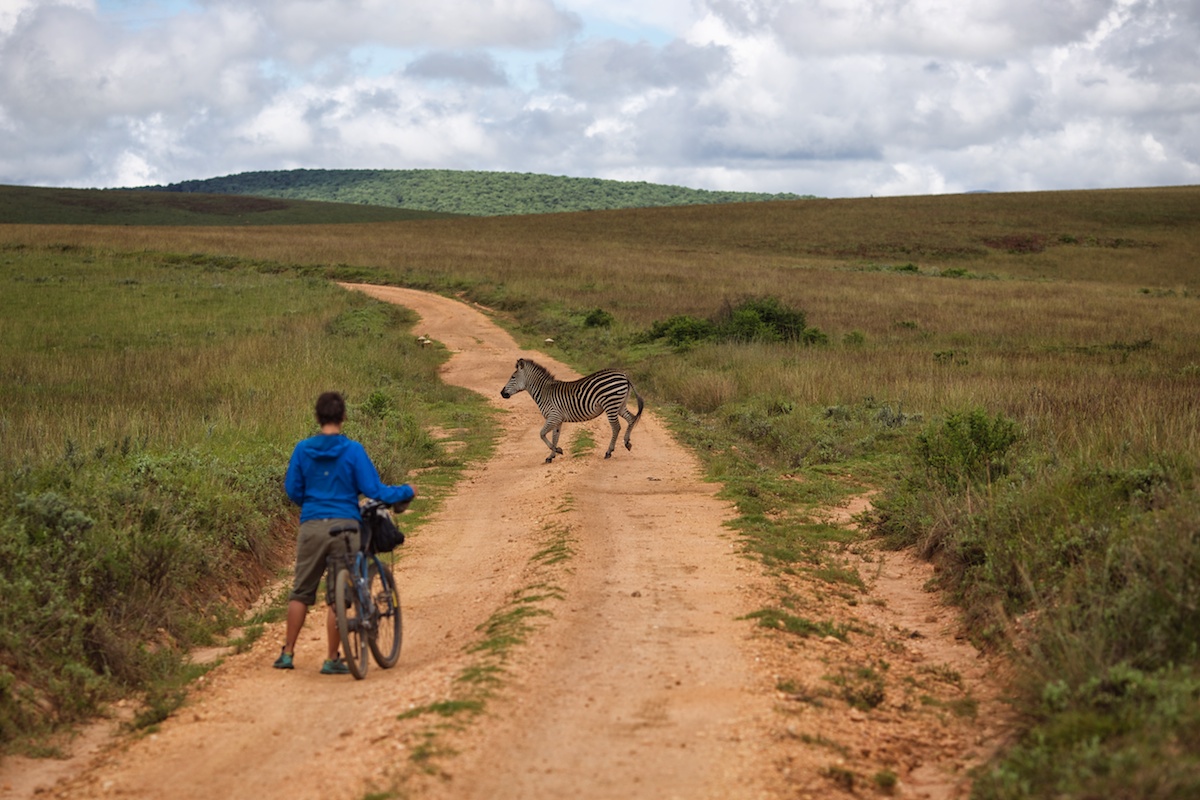 Bicycle Touring Nyika National Park Plateau - Malawi