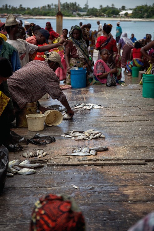 Fish market - Dar Es Salaam