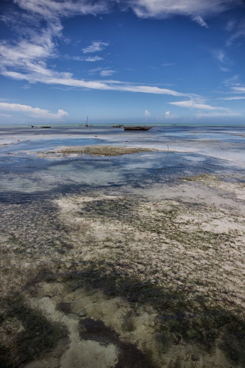 Zanzibar - clear water