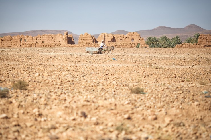 Bike Touring Morocco - Draa Valley