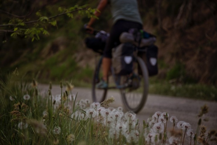 Transnevada Off-road Cycling Route