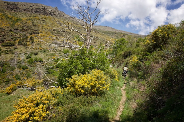 Transnevada Off-road Cycling Route