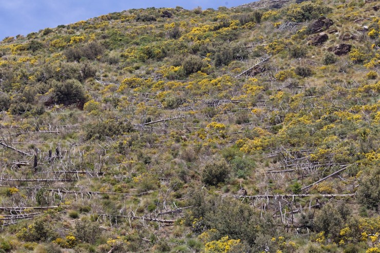 Transnevada Off-road Cycling Route - Bike Touring Spain