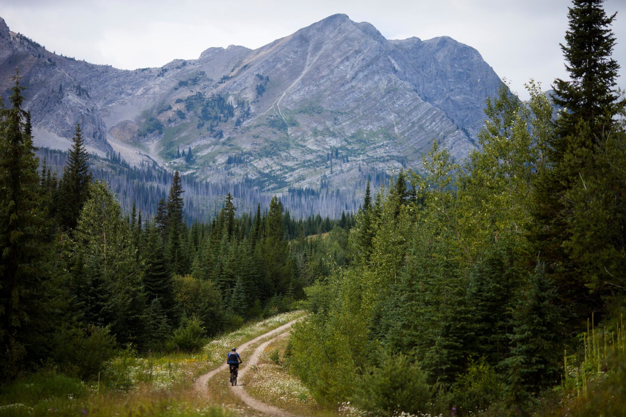 Great Divide Mountain Bike Route (GDMBR)