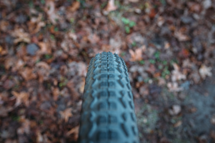 Vee Trax Fatty 29+ Tire Review