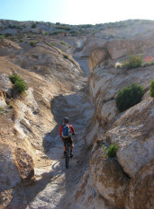 Bikepacking Arizona, The Gila River Ramble