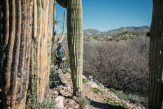 Bikepacking Arizona, The AZT