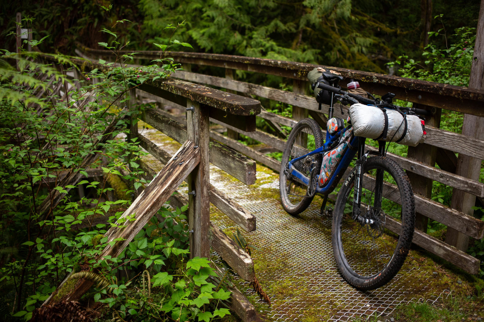 lower Sunshine Coast bikepacking route