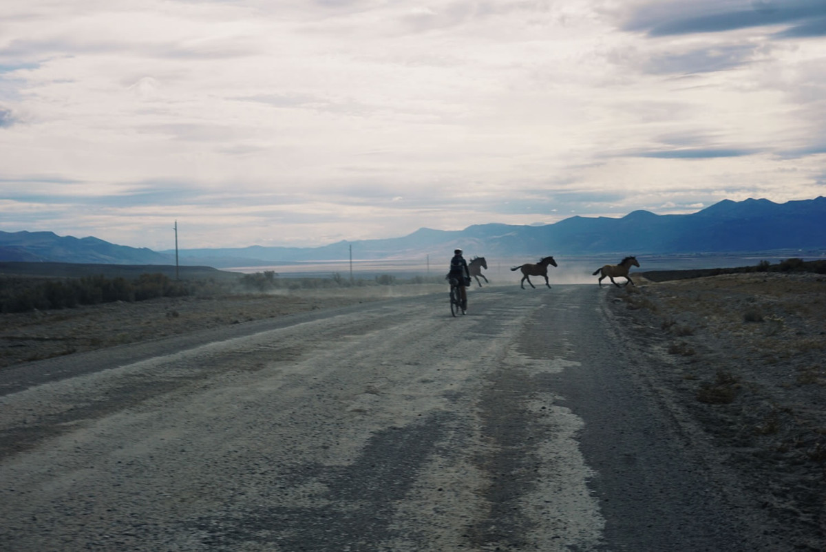 Bikepacking the Trans America Trail, TAT, The Swallows