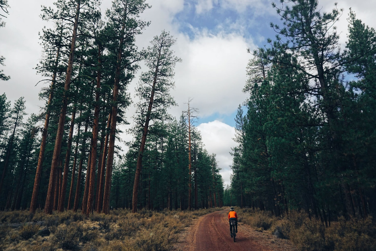 Trans America Trail, Bikepacking Oregon, Tom and Sarah Swallow