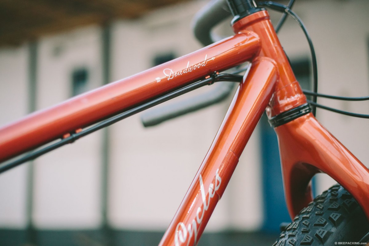 salsa deadwood frame