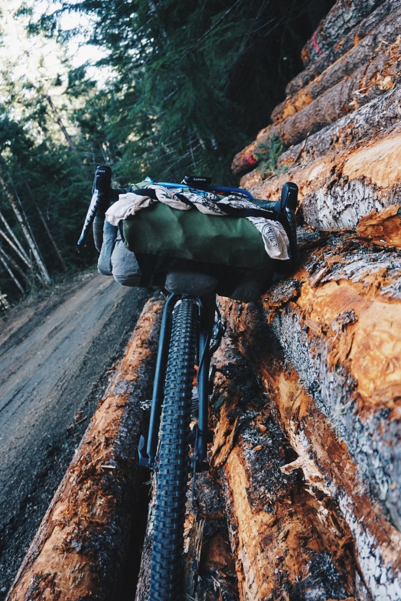 Specialized AWOL Review