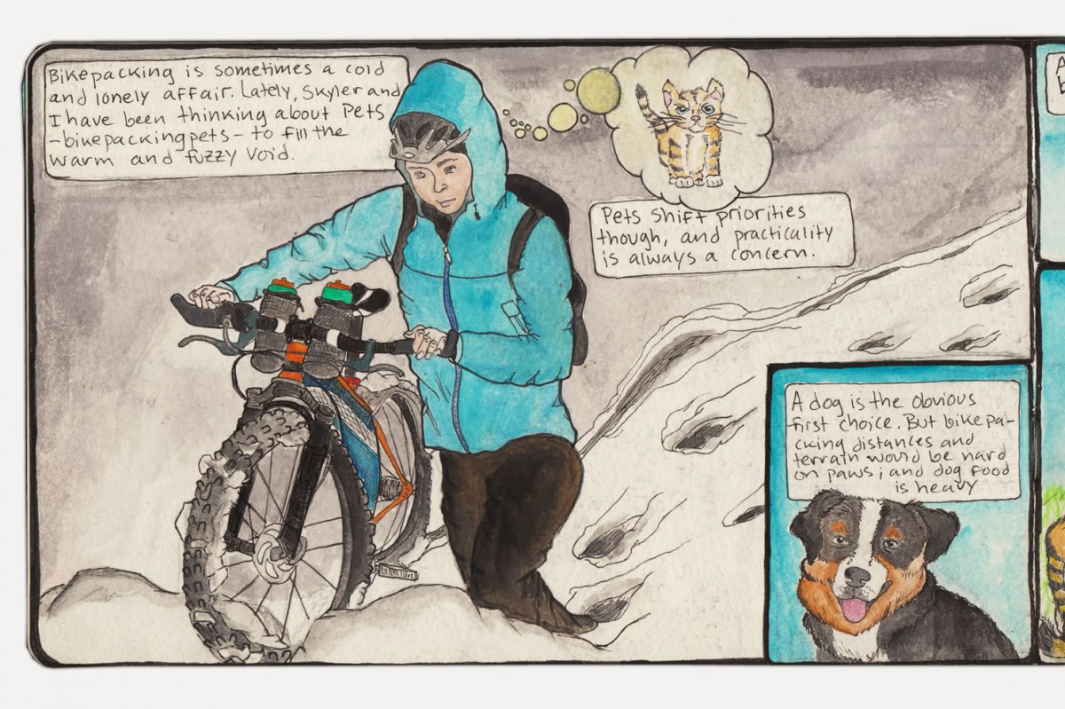 Bikepacking Comics