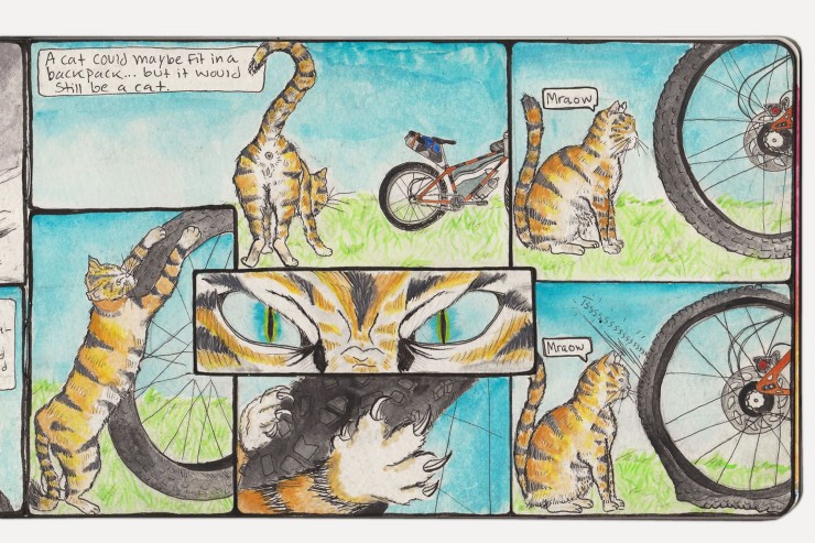 Bikepacking Comics