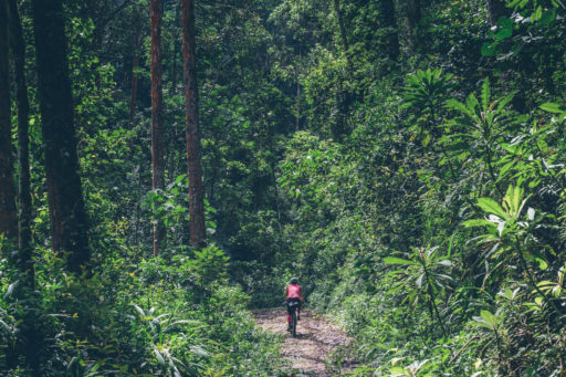Congo Nile Trail, Rwanda