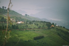 Congo Nile Trail, bikepacking, Rwanda, Bike Touring