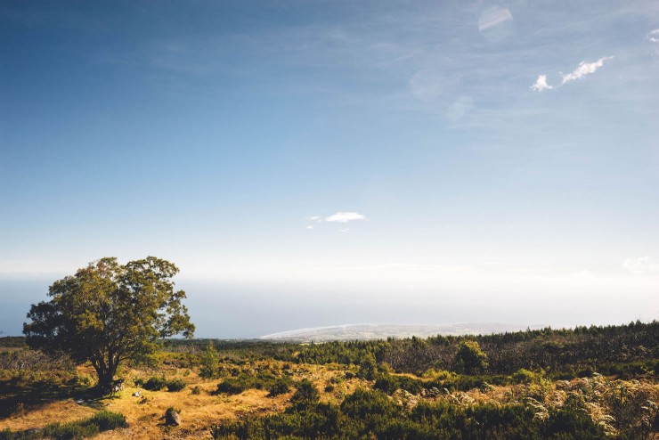 Bikepacking Reunion Island