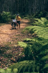Tasmanian Trail, Bikepacking Route, Tasmania, Australia