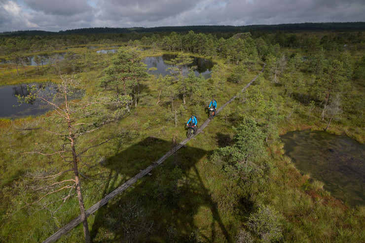 Swamp Thing Trail: Exploring The Estonian Taiga