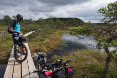 Swamp Thing Trail, Bikepacking Estonia
