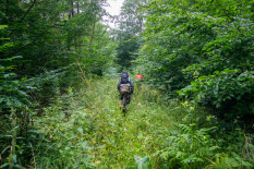 Bikepacking Trans Germany Route