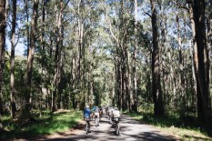Hunt 1000 Australian Alps Trail bike packing route, Hunt Bikes Snowy Mountains 1000 event