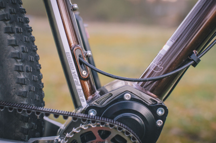 Pinion gearbox, titanium, Viral Skeptic, bikepacking