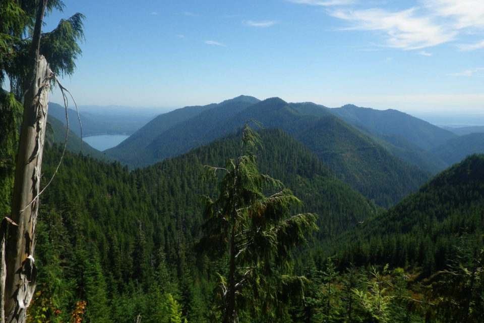 bikepacking races 2020