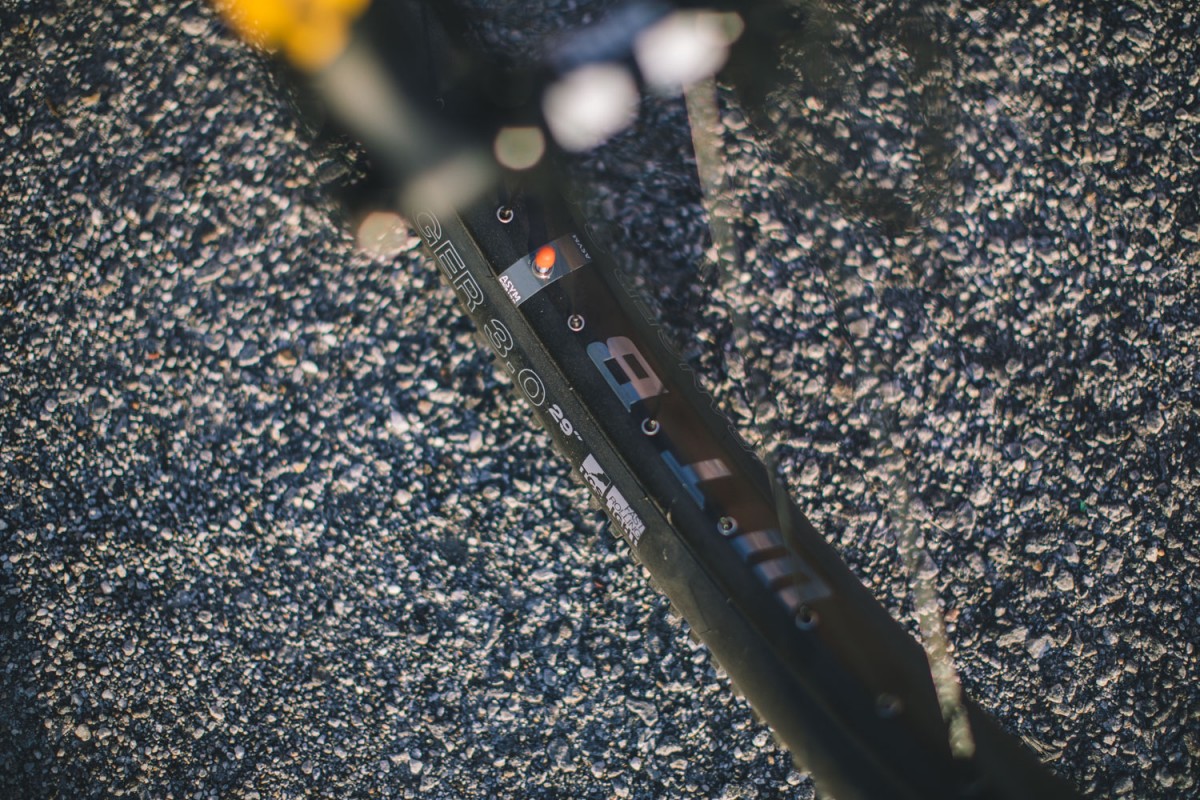 salsa deadwood frame