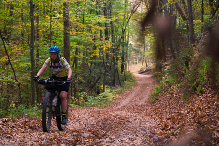 Cohutta Cat Bikepacking Route, Georgia