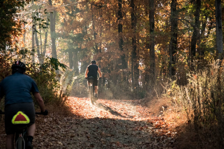 Cohutta Cat Bikepacking Route, Georgia