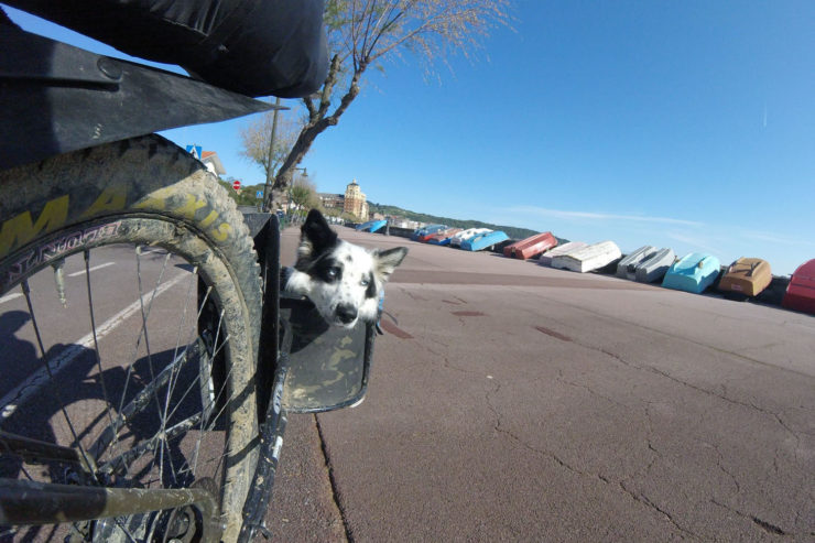 Bikepacking with your dog, Bike touring, dogpacking