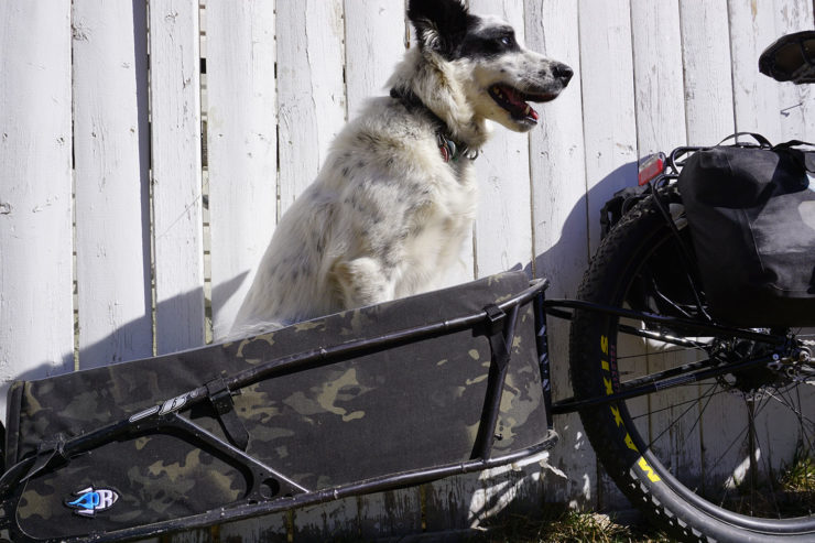 Bike trailer for dog, Bikepacking with your dog, dogpacking