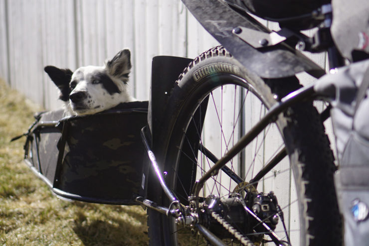 Bike trailer for dog, Bikepacking with your dog, dogpacking