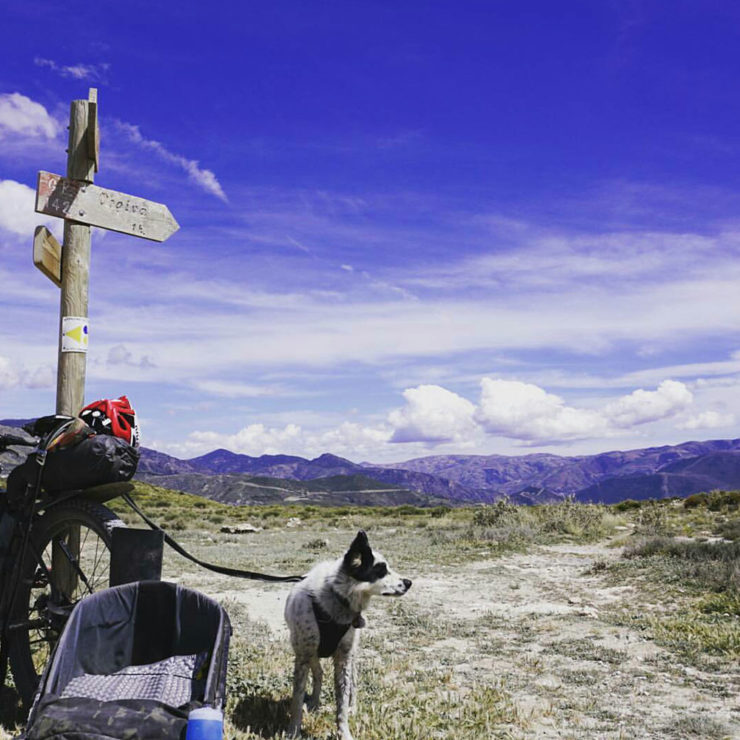 Bikepacking with your dog, Bike touring, dogpacking