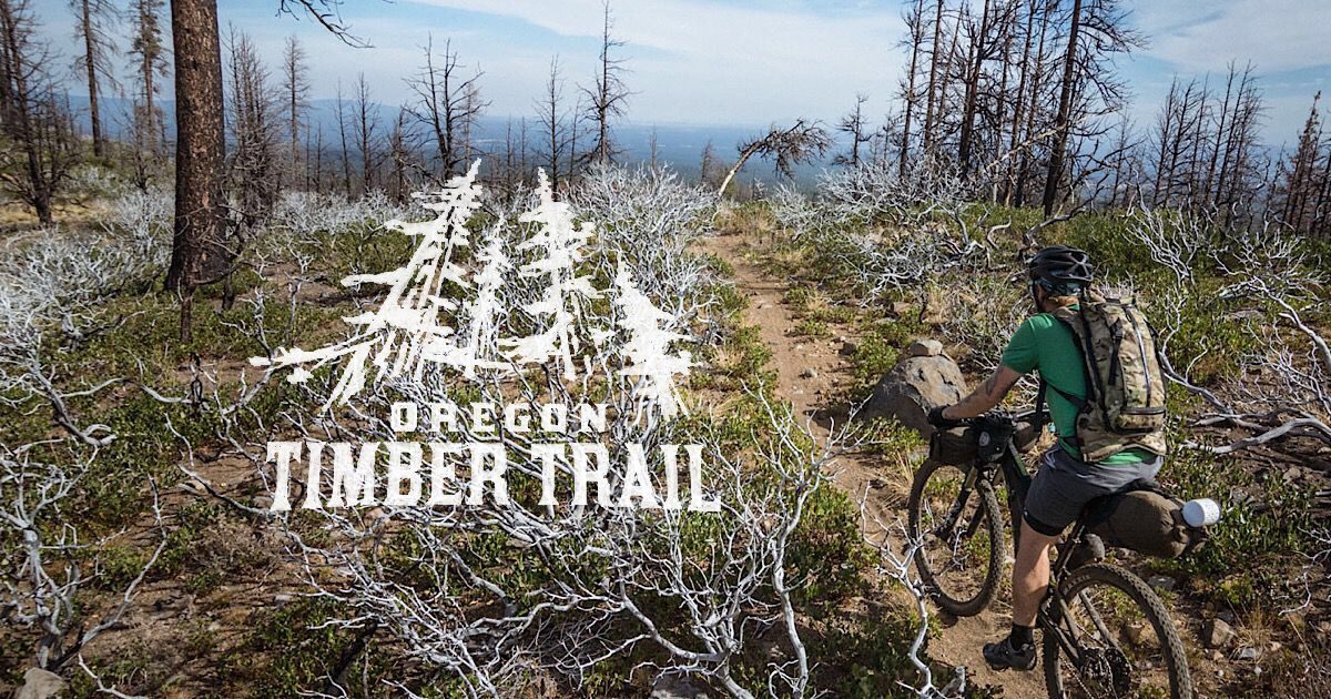 Oregon timber Trail