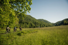 Trans-WNC (Western North Carolina) Bikepacking Route
