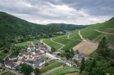 Rheintal Bikepacking Route, Rhine Valley