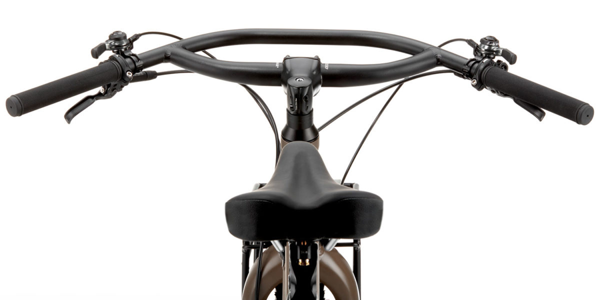 REI Co-op ADV 4.2, Plus tire bikepacking bike