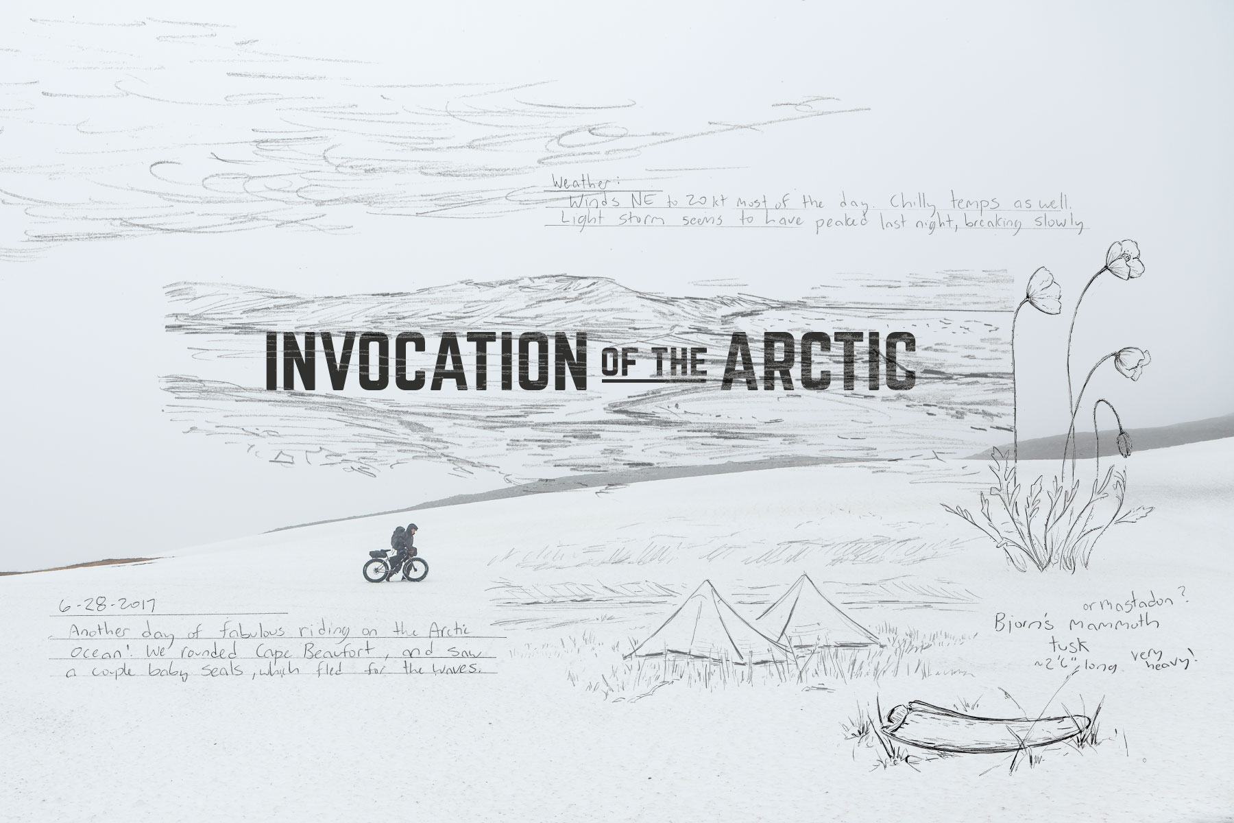 Invocation of the Arctic