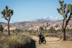 SoCal Desert Ramble, Bikepacking Southern California
