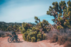SoCal Desert Ramble, Bikepacking Southern California