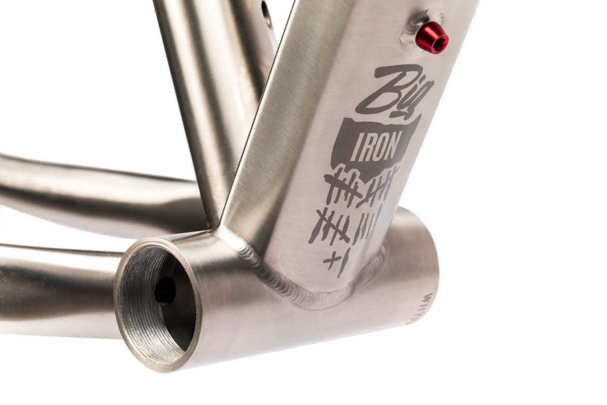 Why Cycles Big Iron Titanium Fat Bike
